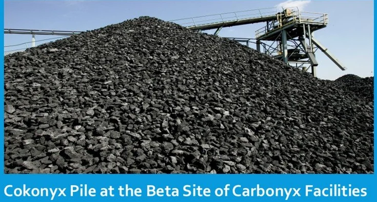 CASP 공정으로 생산된 Cokonyx